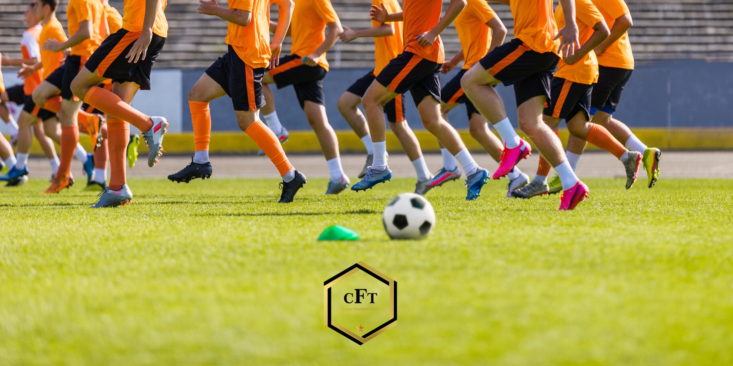 Read more about the article Zasady periodyzacji mikrocyklu treningowego w profesjonalnej piłce nożnej według Buchheit’a i innych